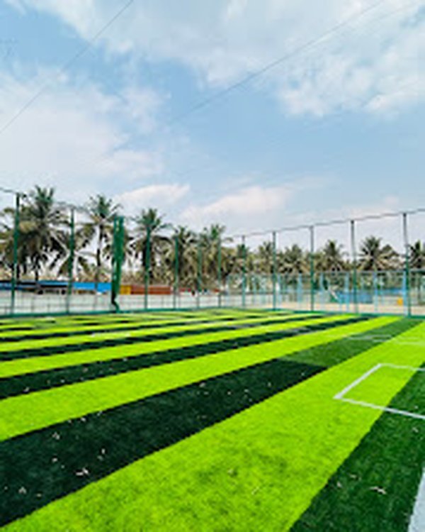 Football turf — palm tree backdrop