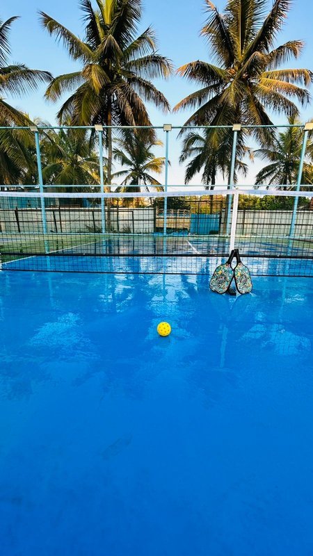 Pickleball court — paddle and ball